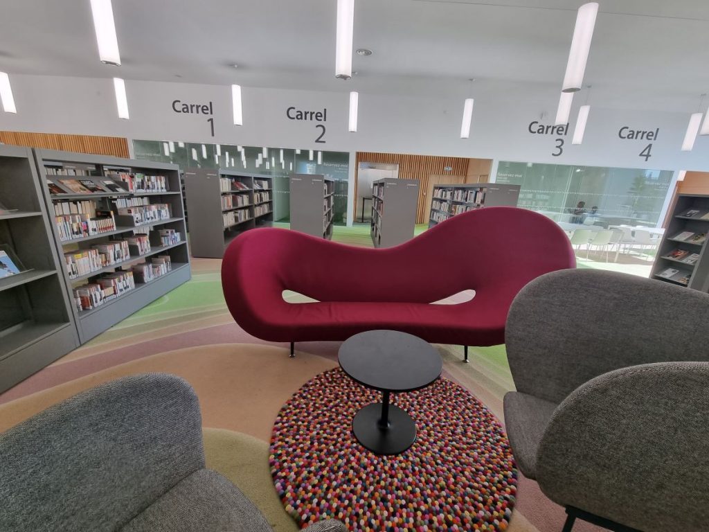 Photo de fauteuils et d'un canapé avec derrière, après les étagères, quatre carrels vitrés de travail