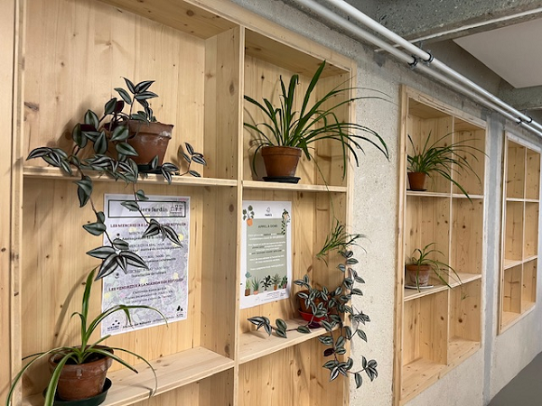 Étagères en bois garnies de plantes à la médiathèque James Baldwin