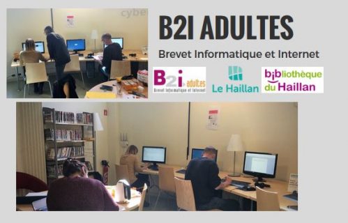 Visuel de l'action B2i