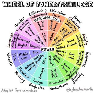 La roue des privilèges de Sylvia Duckworth est une représentation visuelle de la manière dont le pouvoir, les privilèges et les identités sociales se croisent. Les identités qui détiennent le plus de pouvoir dans notre société (homme, blanc, hétérosexuel, aisé, valide) sont placées au centre, les identités qui détiennent le moins de pouvoir dans notre société (personne LGBT, noire, pauvre, handicapée) sont placées à la périphérie. La roue est divisée en 12 catégories, chacune marquée par d'une couleur spécifique.