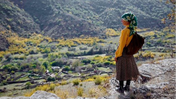 Visuel du film Honeyland